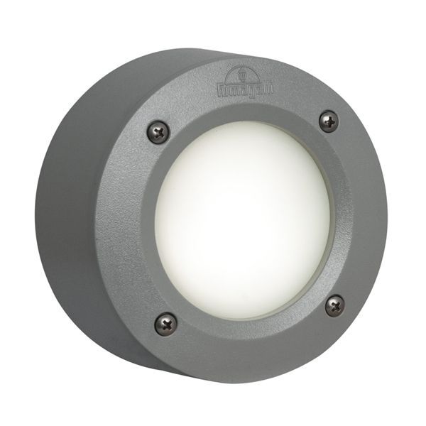 Eurolux grey CFL globe, front view