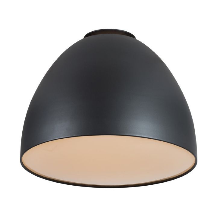 Eurolux ceiling light, front view