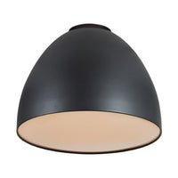 Eurolux ceiling light, front view