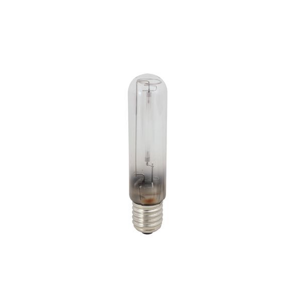 Eurolux fluorescent tube, front view