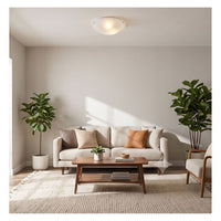 Eurolux ceiling light shown in its packaging